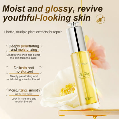 Porcope Dual Essence Massage Oil Advanced moisturizingnourish the skin andreverse aging with oil 30ml